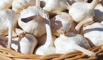 আজ ‘জাতীয় রসুন দিবস’