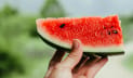 গরমে পানিশূন্যতা কমাতে তরমুজ খাচ্ছেন? রাতে খেলেই ক্ষতি