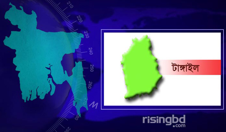 টাঙ্গাইলে পুকুরের পানিতে ডুবে ২ ভাইয়ের মৃত্যু