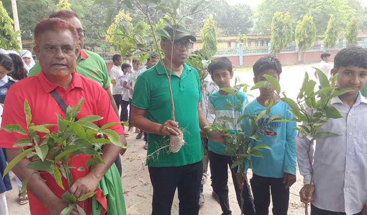 পঞ্চগড়ে ৬ শতাধিক শিক্ষার্থীর মধ্যে চারা বিতরণ 