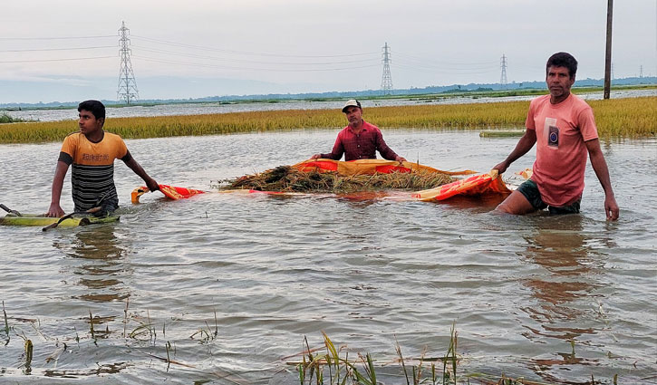 হাওরজুড়ে পানির রাজত্ব, কৃষকরা নিঃস্ব