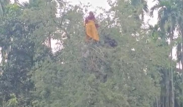 তেঁতুল গাছের মগডালে নারী, পরে পুকুরে লাফ
