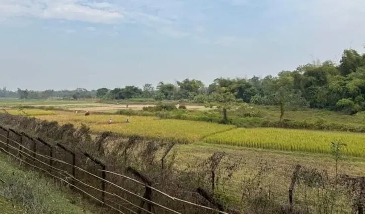 পঞ্চগড় সীমান্ত থেকে দুই কিশোরকে ধরে নিয়ে গেছে বিএসএফ