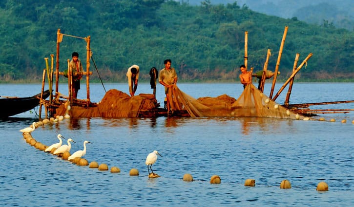 তিন মাস মাছ ধরা যাবে না কাপ্তাই হ্রদে 
