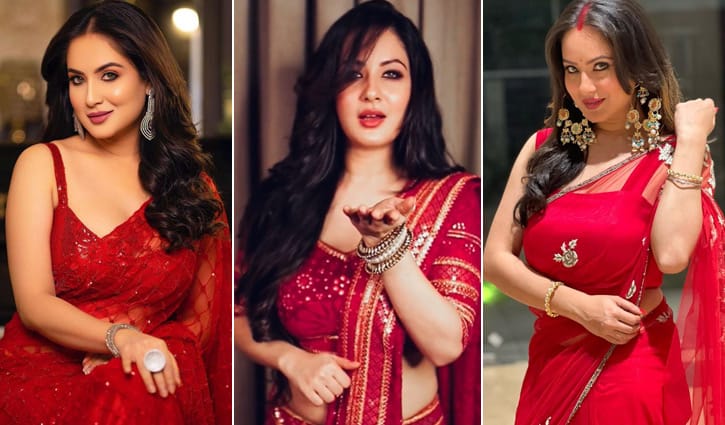 ফের মা হবেন পূজা