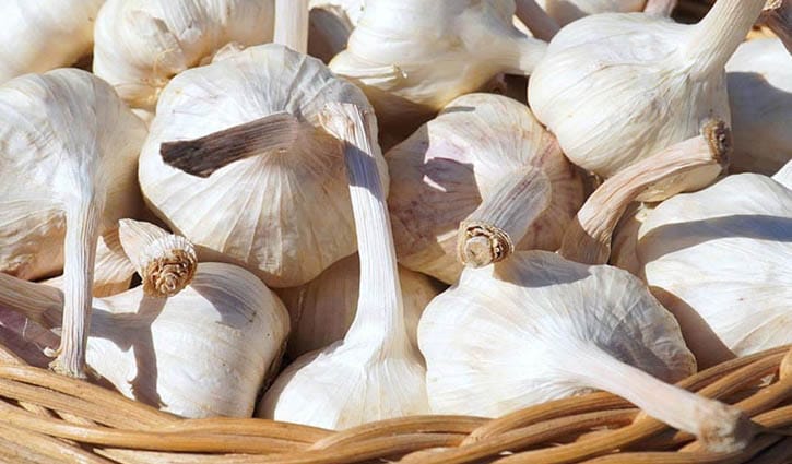 আজ ‘জাতীয় রসুন দিবস’