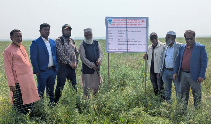 হাওর অঞ্চলে কৃষি বৈচিত্র্যে নতুন সংযোজন সরিষা চাষ
