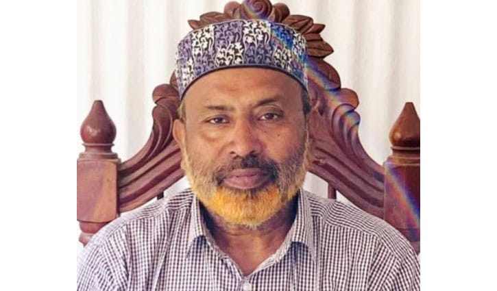 সরকারি গাছ কর্তন, উপজেলা বিএনপির সভাপতির পদ স্থগিত