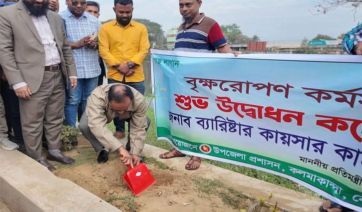 একটি গাছ, একটি ভবিষ্যৎ: ভূমি প্রতিমন্ত্রী