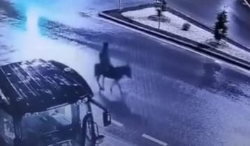 স্বর্ণ চুরি করে গাধার পিঠে চড়ে পালালো চোর