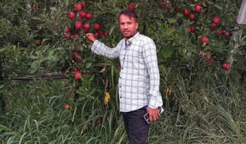 ইতালিতে সড়ক দুর্ঘটনায় প্রবাসী নিহত