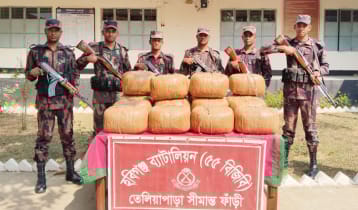 হবিগঞ্জে ৭৩ কেজি ভারতীয় গাঁজা জব্দ