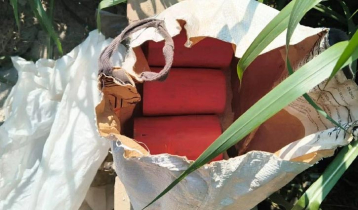 কুষ্টিয়ায় ভোটকেন্দ্রের পাশে মিলল ৯টি ককটেল সদৃশ বস্তু