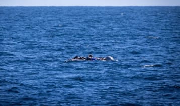 লিবিয়া উপকূলে নৌকাডুবি, ৫৩ অভিবাসনপ্রত্যাশীর মৃত্যুর শঙ্কা