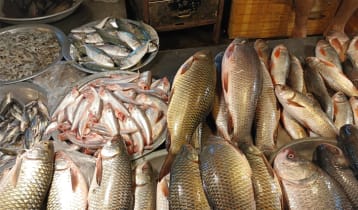 সবজি বাড়তি, কমেছে মাছ-মাংসের দাম