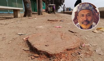 গাছ কাটা সেই বিএনপি নেতা গ্রেপ্তার