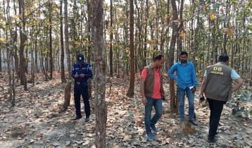 টিকটক ভিডিও করতে গিয়ে মিলল ‘শিয়ালে খাওয়া’ লাশ