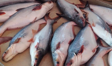 রোজা শুরুর আগেই পটুয়াখালীর বাজারে আগুন