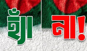 গণভোটের ফলাফলে কমল ১০ লাখ ৭৩ হাজার ভোট