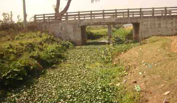 শায়েস্তাগঞ্জে জিয়া খালের অস্তিত্ব সংকট, পুনঃখননের দাবি