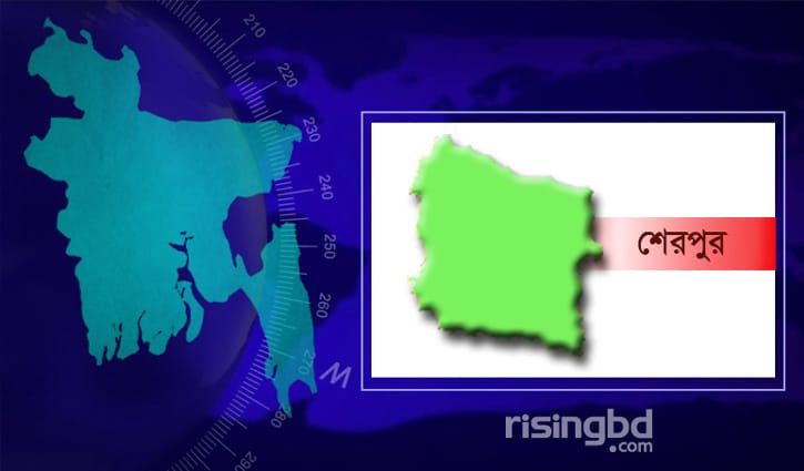 শেরপুরে সিল দেওয়া শতাধিক ব্যালট উদ্ধার, আটক ২