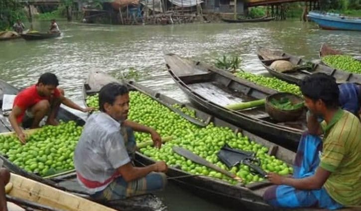 লেবুর রাজ্য ঝালকাঠিতে সিন্ডিকেট, প্রতি হালি ৮০ টাকা 
