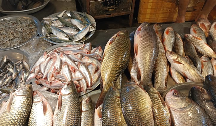 সবজি বাড়তি, কমেছে মাছ-মাংসের দাম