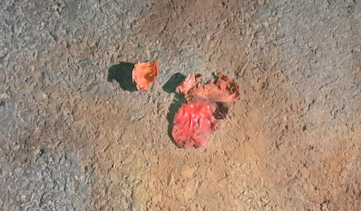 গোপালগঞ্জে ৭ ভোটকেন্দ্রের সামনে ককটেল বিস্ফোরণ