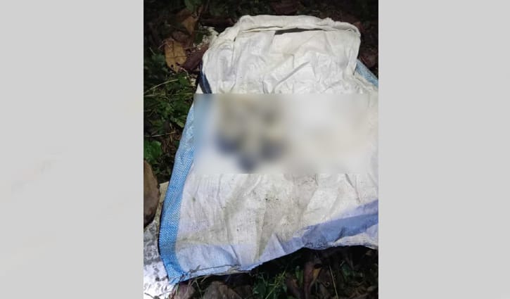 বাগেরহাটে যৌথ বাহিনীর অভিযানে ৬ ককটেল উদ্ধার, নিরাপত্তা জোরদার