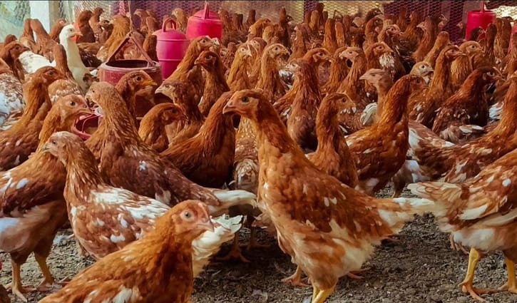 রোজার আগেই বাড়ল ১০ পণ্যের দাম