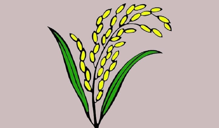 এ্যানিসহ লক্ষ্মীপুরে সব আসনে বিএনপি প্রার্থী জয়ী