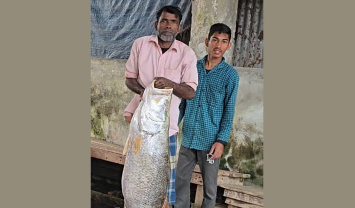 বরগুনায় জেলের জালে সাড়ে ২২ কেজির কোরাল