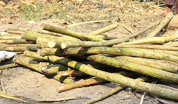 ঠাকুরগাঁওয়ে ভোটকেন্দ্রের পাশের পুকুর থেকে লাঠিসোটা উদ্ধার