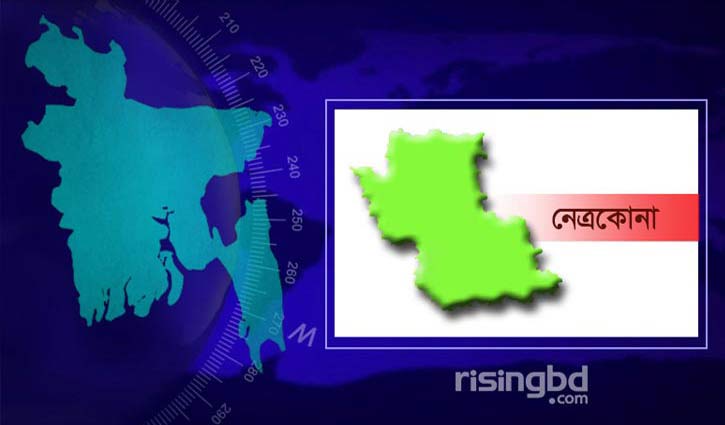 নেত্রকোনার পাঁচ আসনের চারটিতে বিএনপি, একটিতে জামায়াতের জয়