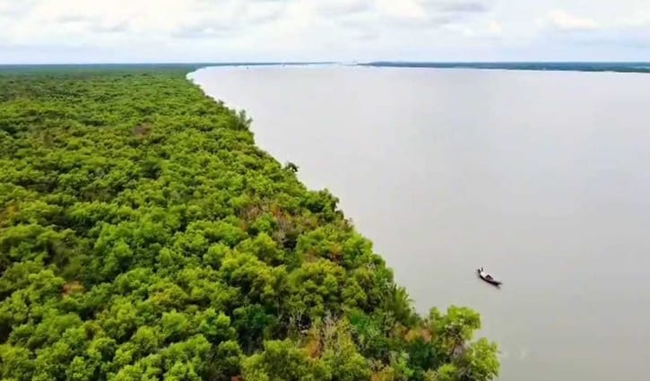 সুন্দরবন উপকূল থেকে ২০ জেলেকে অপহরণ