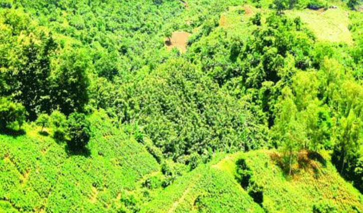 টেকনাফের পাহাড়ে দফায় দফায় গোলাগুলি, স্থানীয়রা আতঙ্কে