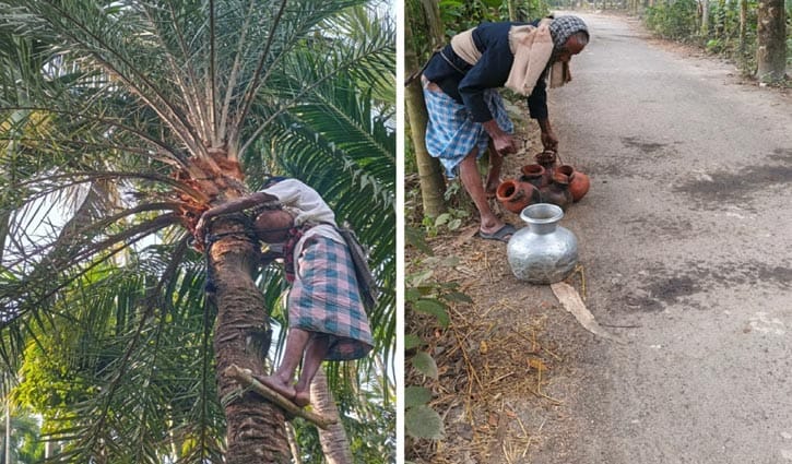 রায়পুরে বিলুপ্তির পথে খেজুর গাছ