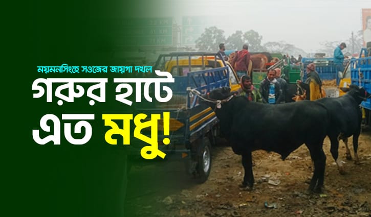 গরুর হাটে এত মধু! উচ্ছেদের দায়িত্ব পেয়েও চুপ তিন ম্যাজিস্ট্রেট