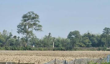 সীমান্তে বিএসএফের সড়ক নির্মাণের চেষ্টা, বিজিবির বাধায় পতাকা বৈঠক 