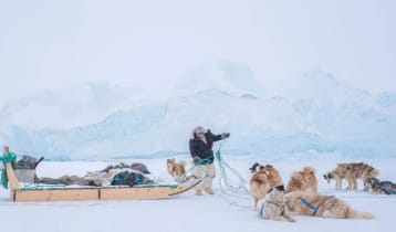 কুকুর আর মানুষের বন্ধুত্বের গল্প ক্যামেরাবন্দী করেন জন ফ্যাবিয়ানো
