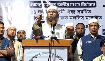 দেশের মানুষ রাজনীতির দুই ভূত তাড়াতে চায়: মামুনুল হক