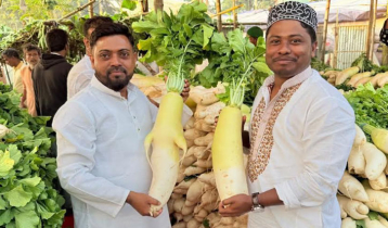 মাইজভান্ডারের মূলা: বছর জুড়ে যার জন্য অপেক্ষা 