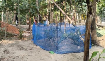 সাদ্দামের স্ত্রী-সন্তানের মৃত্যু নিয়ে দুই পরিবারের বিপরীতমুখী বক্তব্য