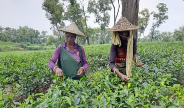 ‘নির্বাচন এলে প্রার্থীরা দিদি-মাসি বলে ভোট চায়, ভোটের পর পাওয়া যায় না’
