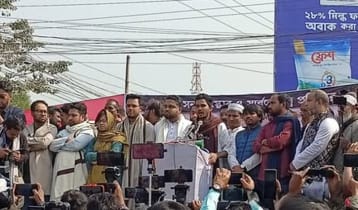 আ.লীগকে রাজনীতিতে ফেরানোর ষড়যন্ত্র করছে একটি দল: আসিফ মাহমুদ