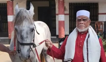 জীবন্ত ঘোড়া নিয়ে নির্বাচনি প্রচারের অভিযোগ প্রার্থীর বিরুদ্ধে