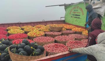 ৪৫০ বছরের বরমী হাট, মিলছে নিরাপদ শাকসবজি 