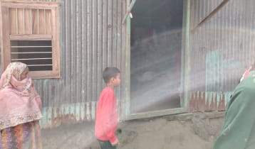 সিরাজগঞ্জে শিয়ালের কামড়ে বৃদ্ধার মৃত্যু