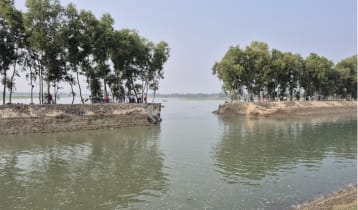 তিস্তা সেচের বাঁধ ভেঙে খাল-ফসলি জমি একাকার, পাউবো বলছে ‘ইঁদুরের গর্তের কারণে’