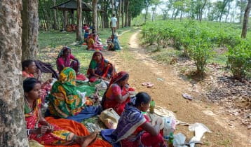 নিরাপত্তা ও উন্নয়নের দাবি মৌলভীবাজারের নারী ভোটারদের 